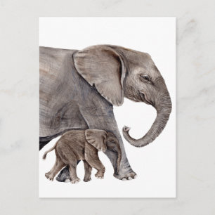 Elephant with Baby Elephant Postcard