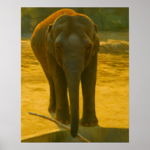 Elephant with Branch at Water’s Edge Poster