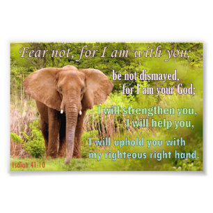 Elephant with Isaiah 41:10 Photo Print