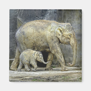 Elephant with Newborn Magnet