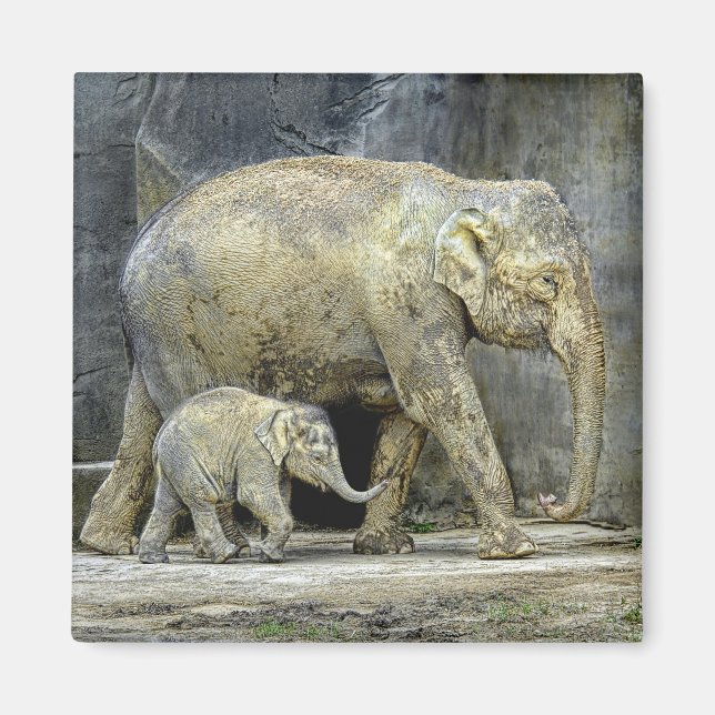 Elephant with Newborn Magnet (Front)