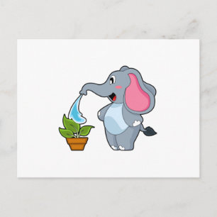 Elephant with Plant Postcard