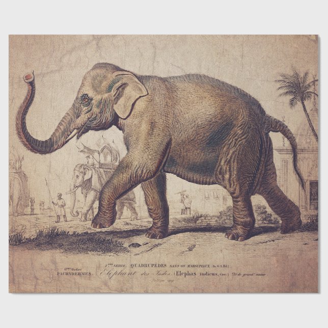 Elephant Wrapping or Decoupage Paper (Flat)