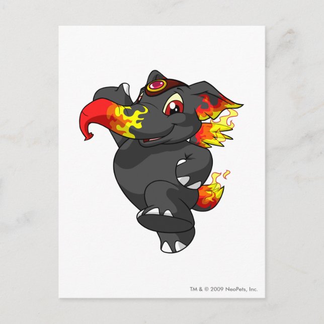 Elephante Fire Postcard (Front)