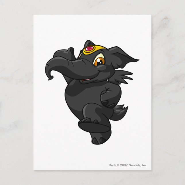 Elephante Shadow Postcard (Front)