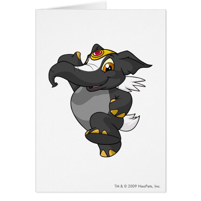 Elephante Skunk (Front)