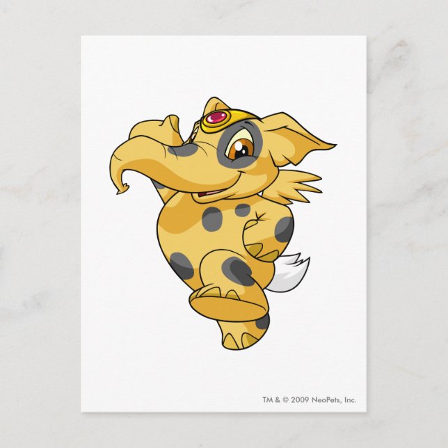 Elephante Spotted Postcard (Front)