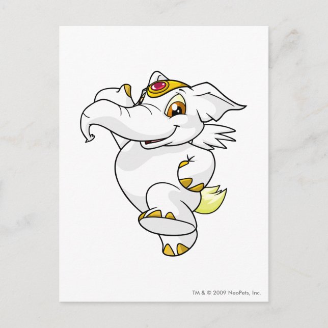 Elephante White Postcard (Front)