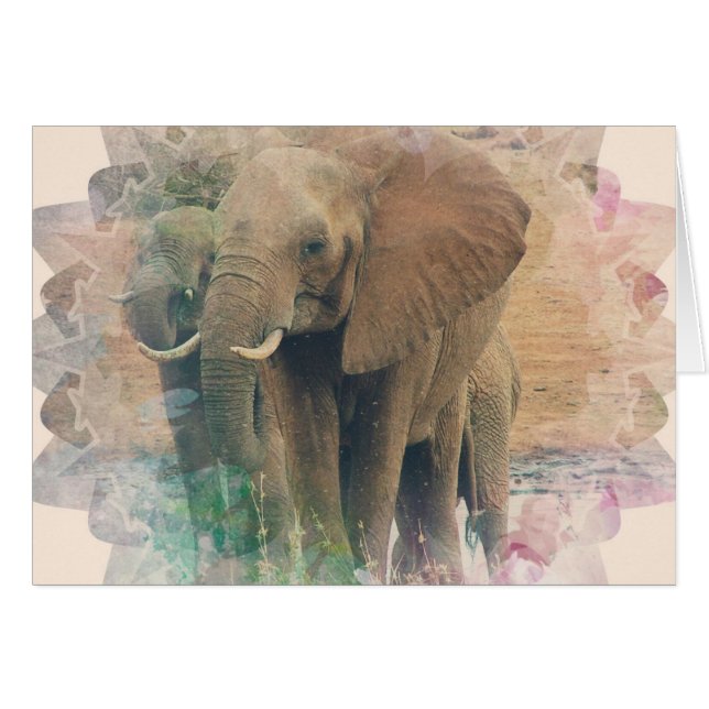 Elephants (Front Horizontal)