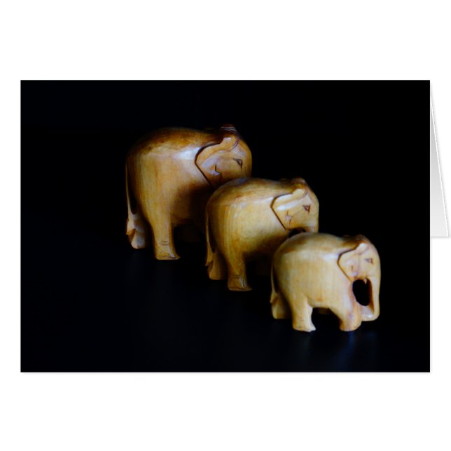 Elephants (Front Horizontal)