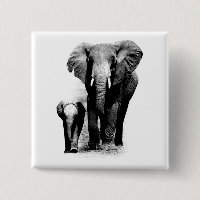 Elephants