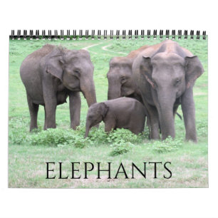elephants 2025 calendar