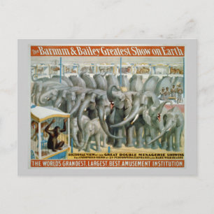 Elephants and Double Menagerie Circus Poster Postcard