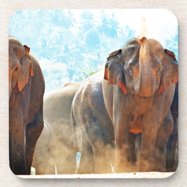 Elephants Animals Safari Destiny Peace Love Coaster (Front)