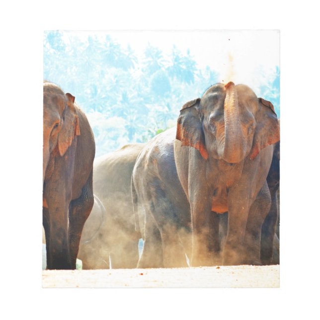 Elephants Animals Safari Destiny Peace Love Notepad (Front)