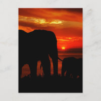 Elephants at Sunset