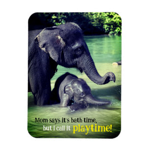 Elephants bathing in river magnet