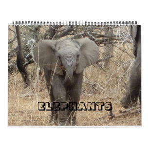 Elephants Calendar