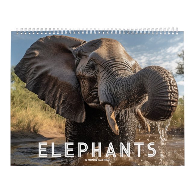 Elephants Calendar (Cover)