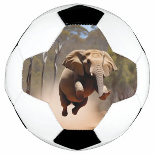 Elephants Can Jump, Soccerball