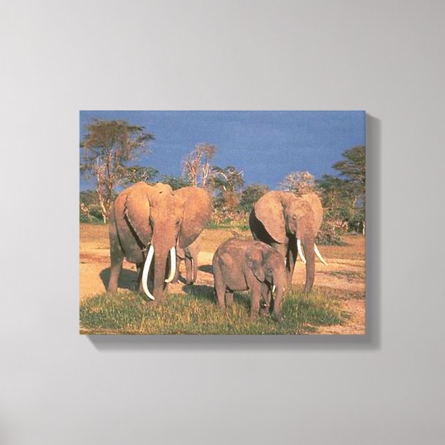 Elephants Canvas Print (Front)