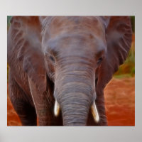 Elephants charge