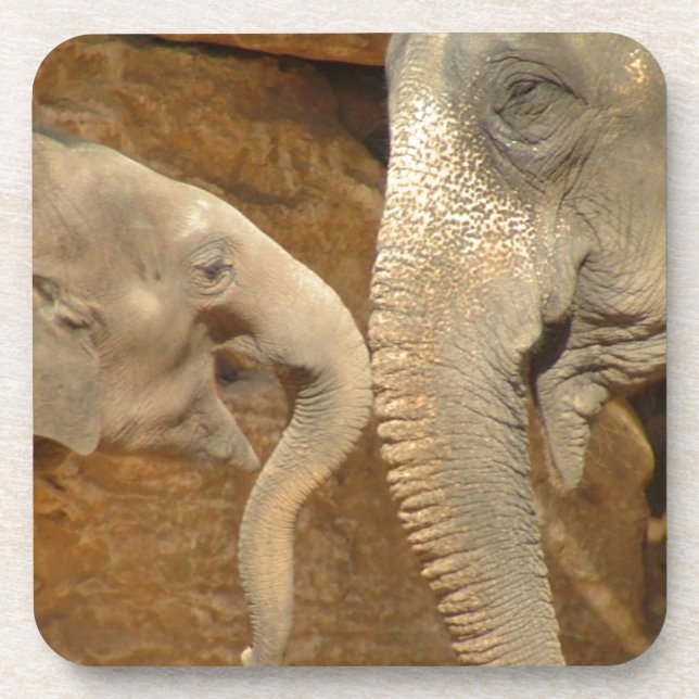 ELEPHANTS COASTER (Front)