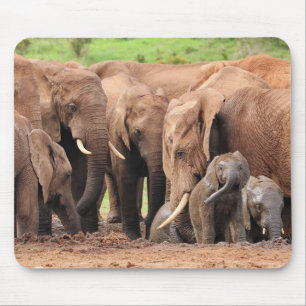 elephants cute mouse pad