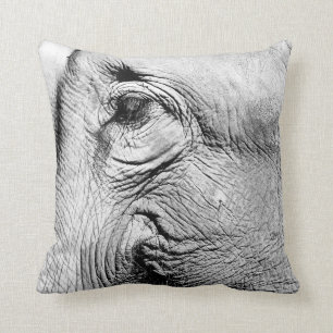 Elephants Eye, 2017 Cushion