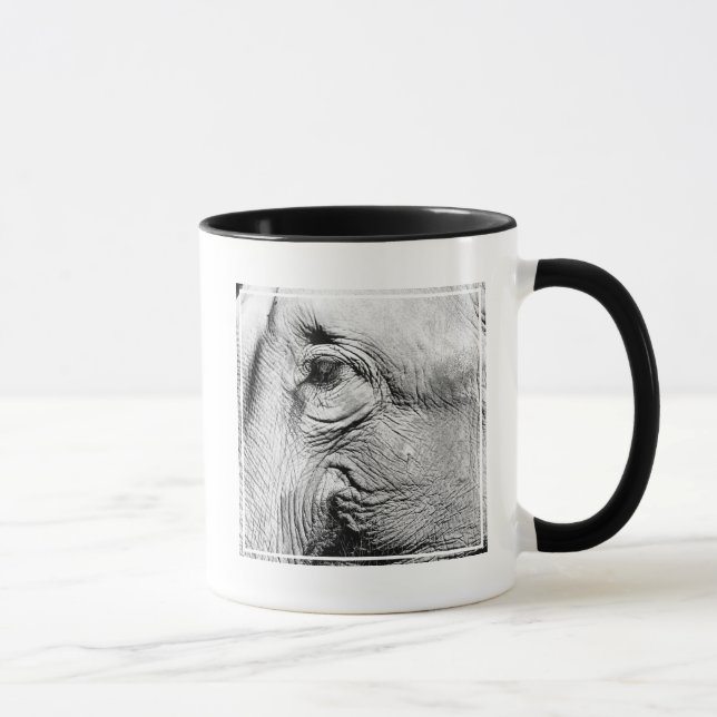 Elephants Eye, 2017 Mug (Right)