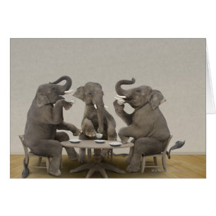 Elephants having tea party