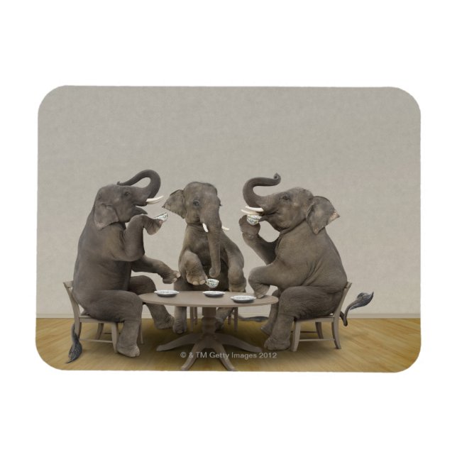 Elephants having tea party magnet (Horizontal)
