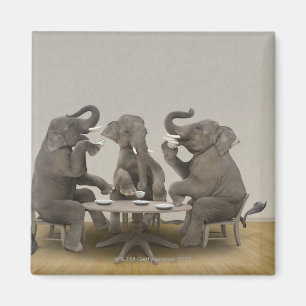 Elephants having tea party magnet