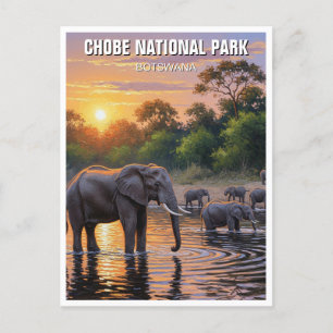 Elephants in Chobe National Park Botswana Postcard