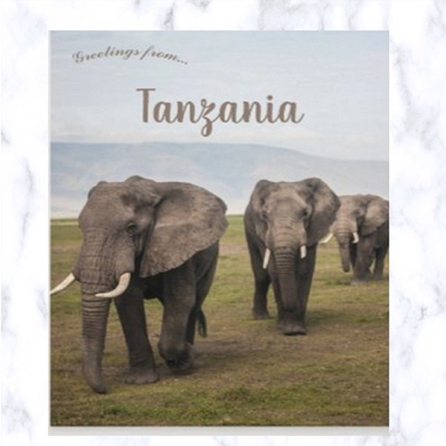 Elephants in Ngorongoro Tanzania Postcard (Creator Uploaded)