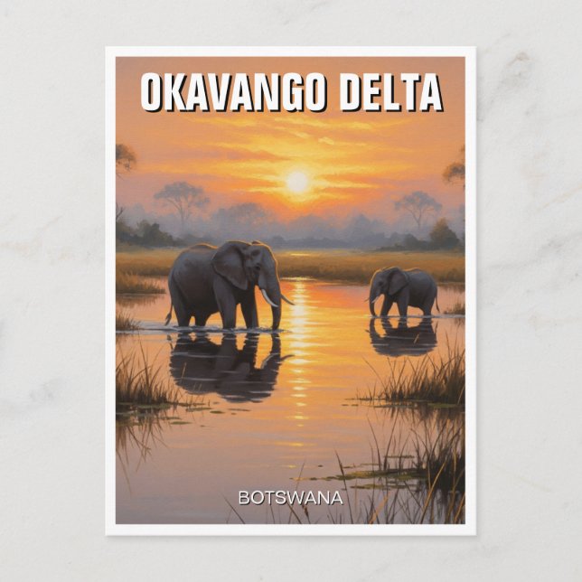 Elephants in Okavango Delta Botswana Postcard (Front)