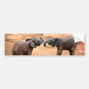 Elephants in the desert bumper sticker