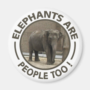 ELEPHANTS magnet