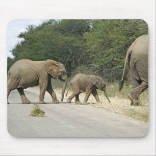 Elephants Mouse Pad