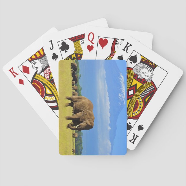 Elephants of Amboseli Playing Cards (Back)