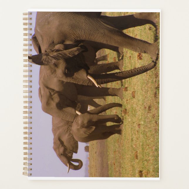 Elephants of Chobe Planner (Front)