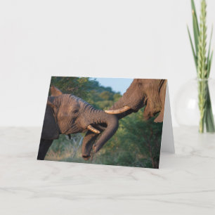 Elephants Playing Card