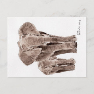 elephants post card