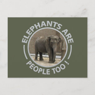 ELEPHANTS postcard
