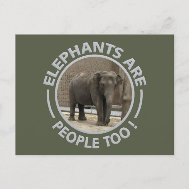 ELEPHANTS postcard (Front)
