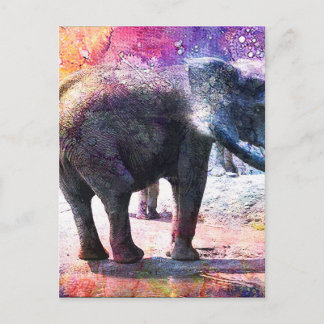 ELEPHANTS POSTCARD