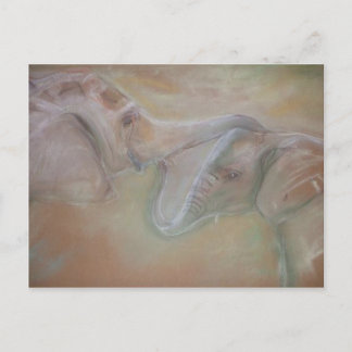 Elephants postcard