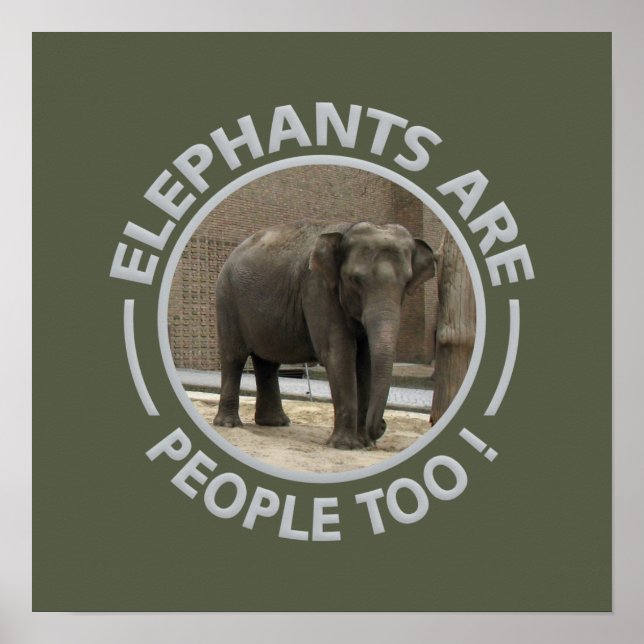 ELEPHANTS poster (Front)