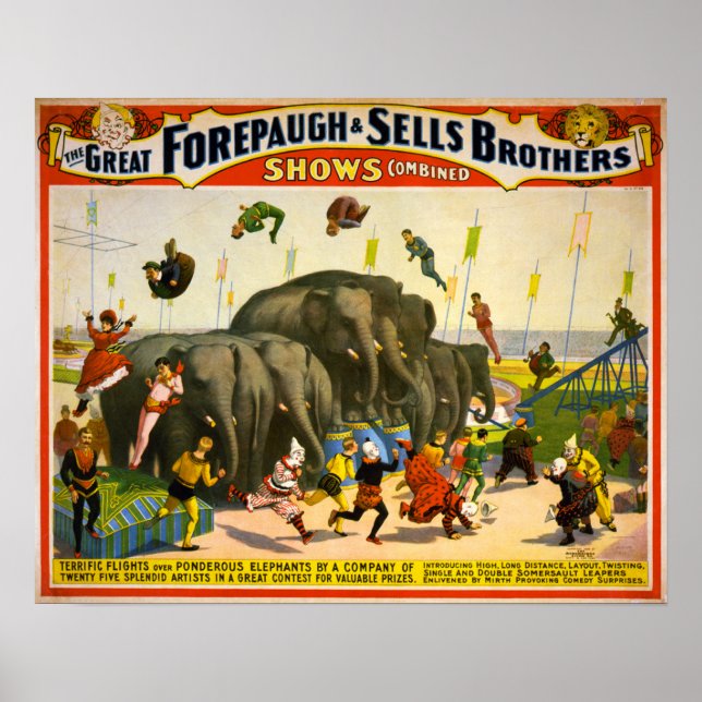 elephants poster (Front)