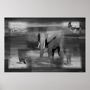 Elephants Print